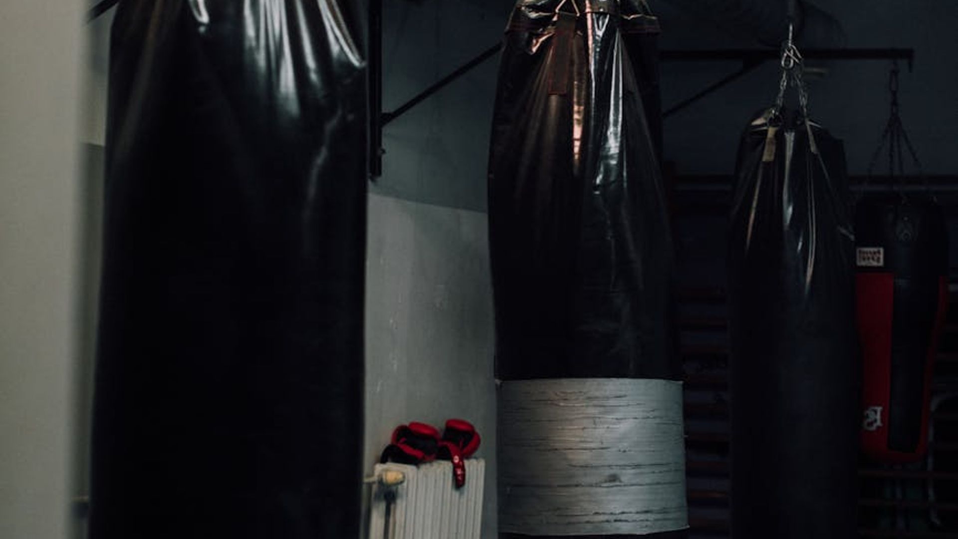 Atmospheric training hall with soft lighting and gym equipment.